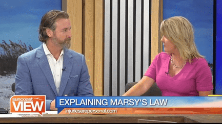 explaining marsys law, suncoast view