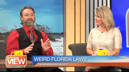 weird florida laws, news segment